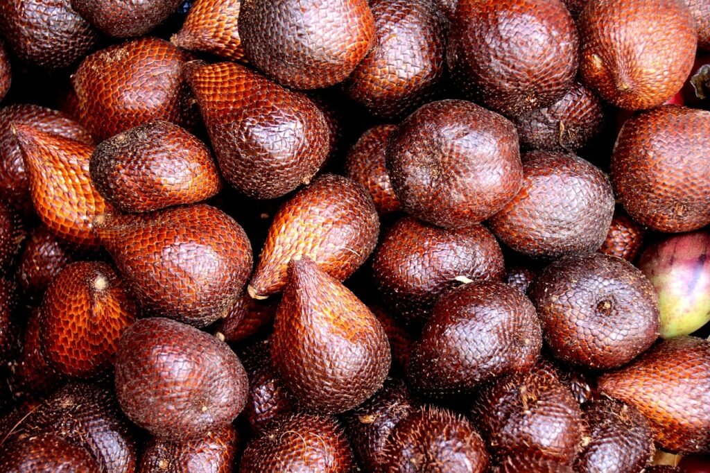 salak, snake fruit, snakeskin fruit, salacca zalacca, brown fruit, exotic fruits, salak, salak, salak, salak, salak, snake fruit, snake fruit